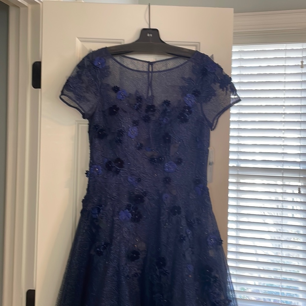 Teri Jon formal long dress